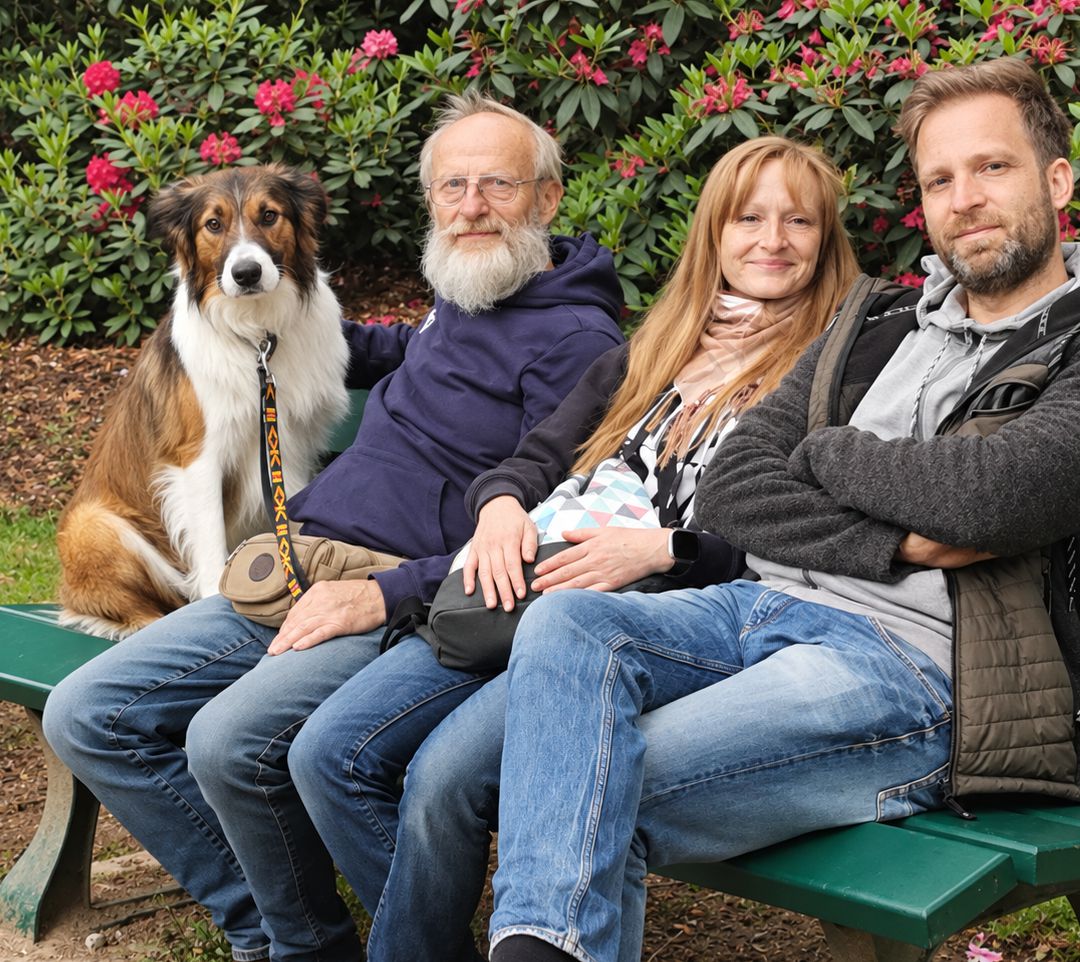 Familie Border Collie Lion