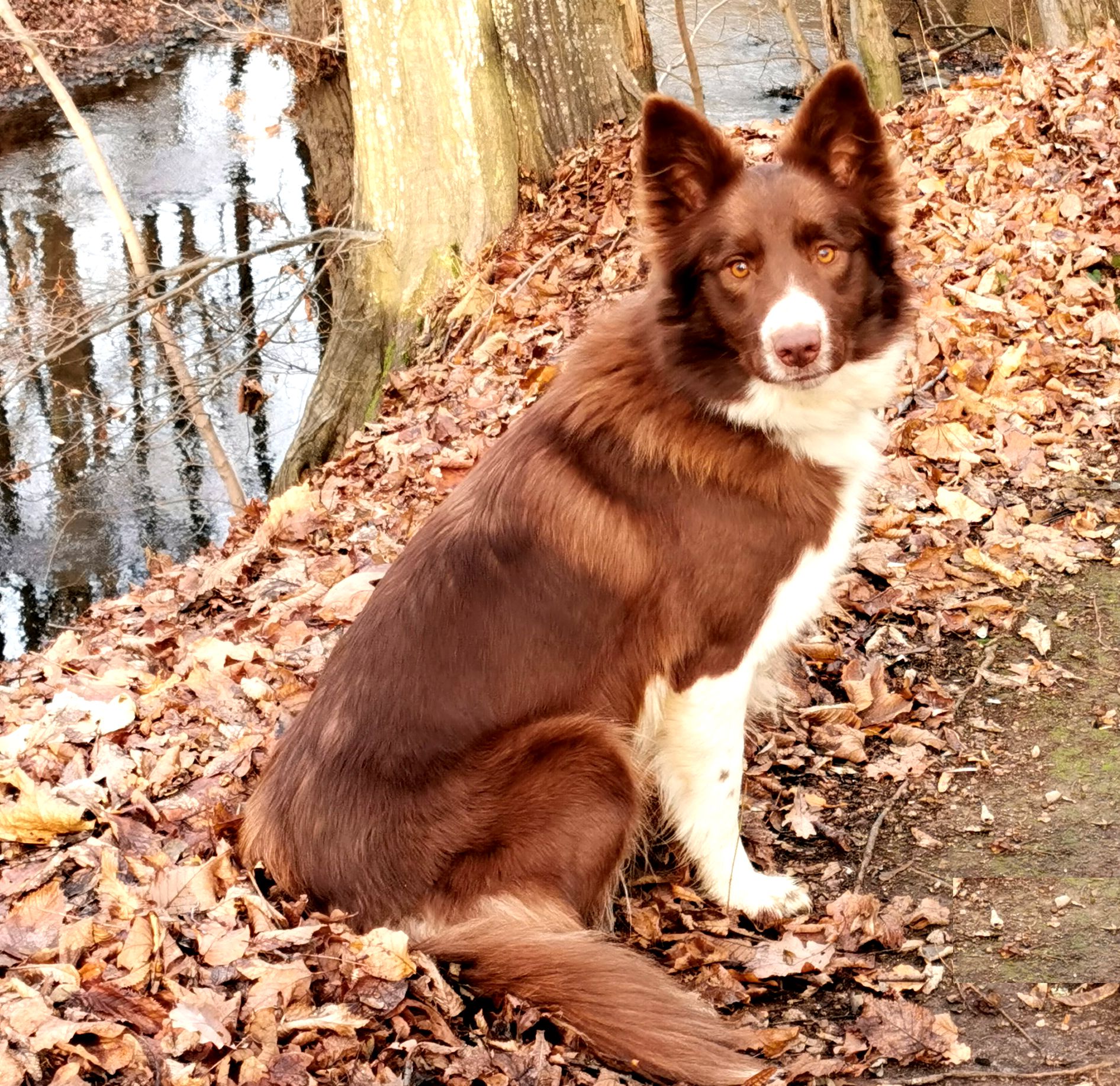 Lilly hält aufmerksamen Blickkontakt