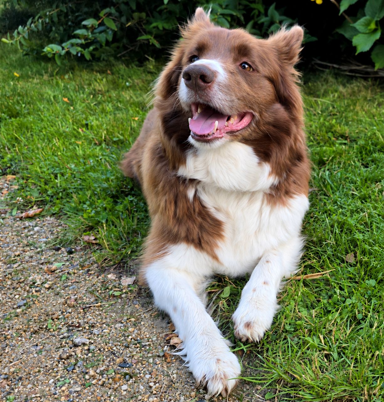 Lilly entspannt im Kreise ihrer Familie